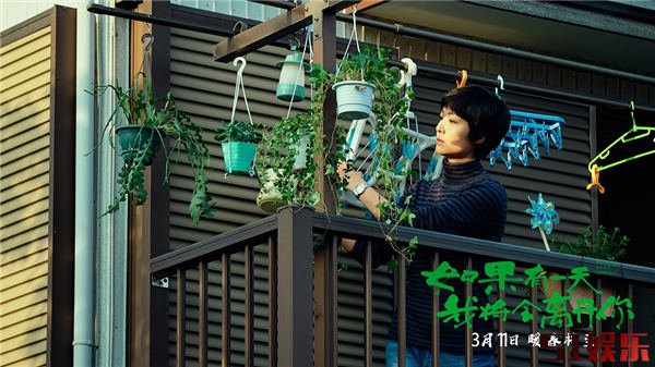 《如果有一天我将会离开你》发布“异乡的我们”特辑 喜乐悲欢共谱异乡人世间(图1) 《如果有一天我将会离开你》发布“异乡的我们”特辑 喜乐悲欢共谱异乡人世间(图1)