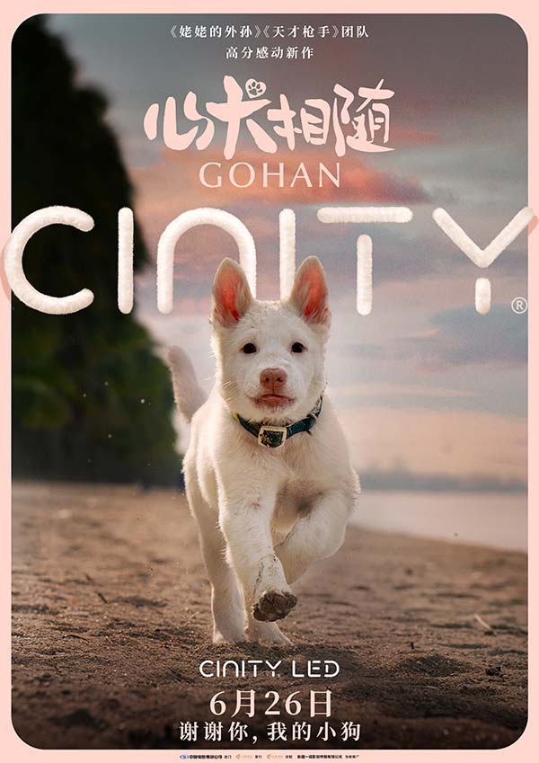 cinity海报.jpg